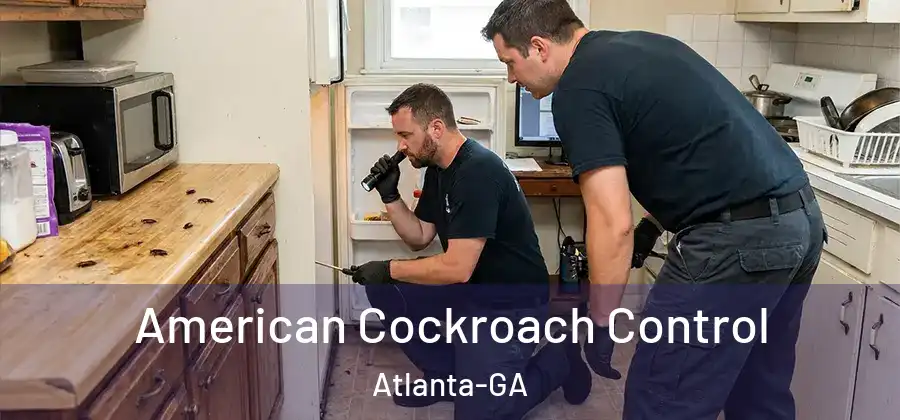 American Cockroach Control Atlanta-GA