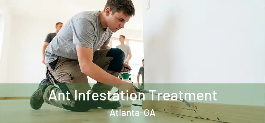  Ant Infestation Treatment Atlanta-GA