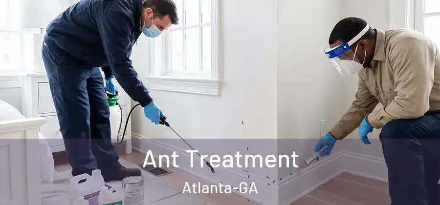 Ant Treatment Atlanta-GA