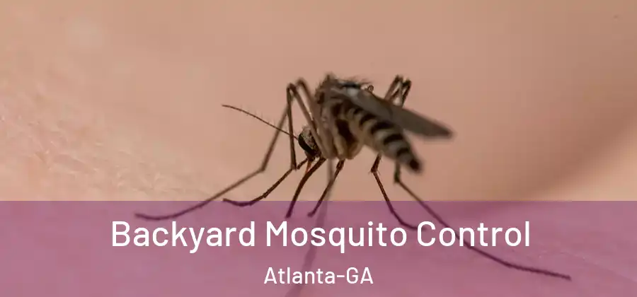  Backyard Mosquito Control Atlanta-GA