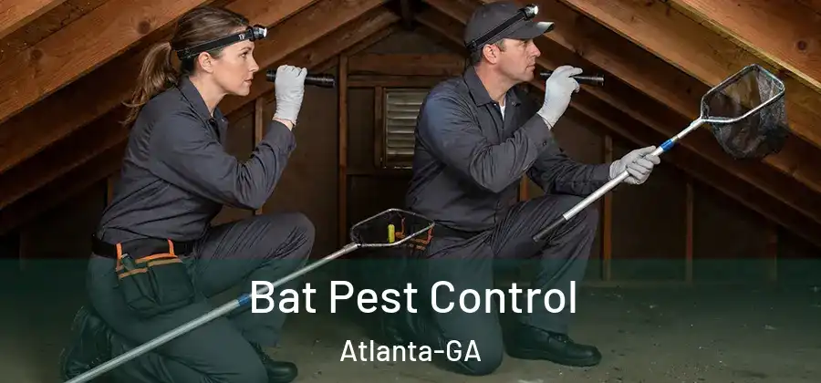 Bat Pest Control Atlanta-GA