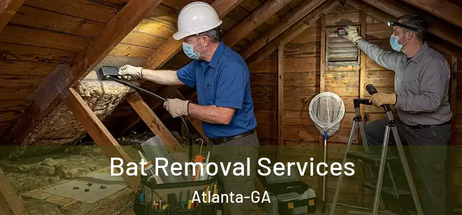 Bat Removal Services Atlanta-GA