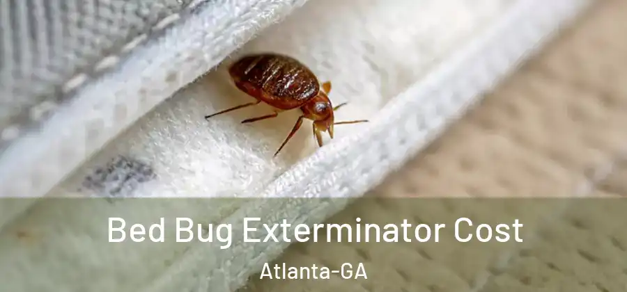 Bed Bug Exterminator Cost Atlanta-GA