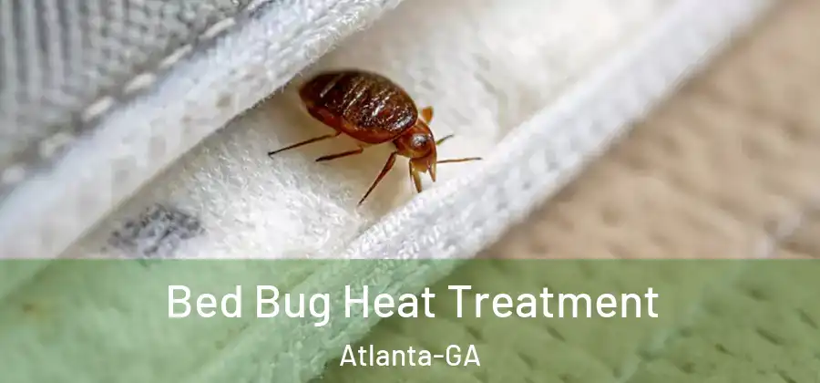 Bed Bug Heat Treatment Atlanta-GA