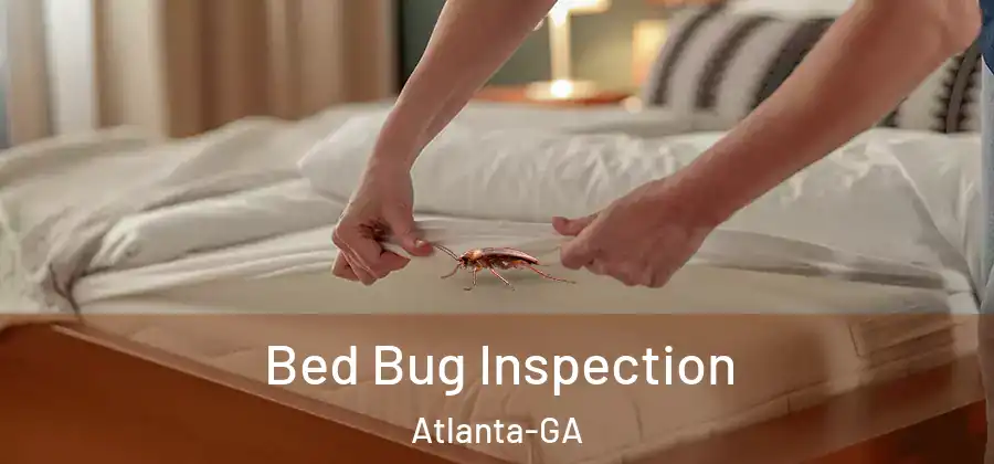  Bed Bug Inspection Atlanta-GA