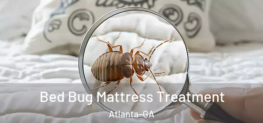  Bed Bug Mattress Treatment Atlanta-GA