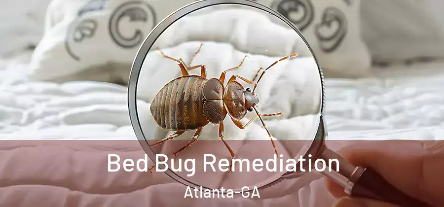 Bed Bug Remediation Atlanta-GA