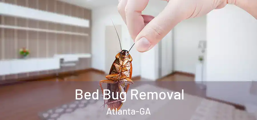 Bed Bug Removal Atlanta-GA
