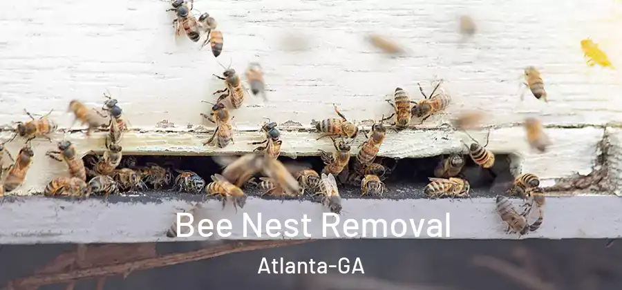  Bee Nest Removal Atlanta-GA