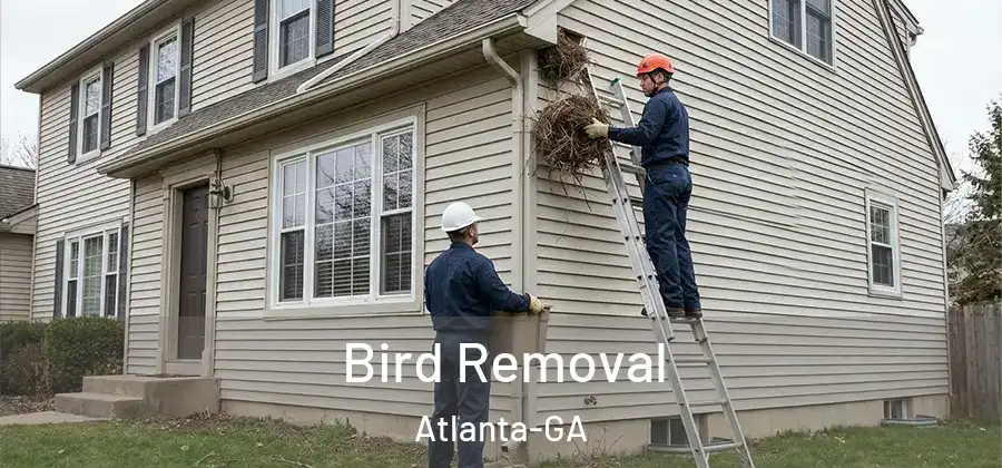 Bird Removal Atlanta-GA