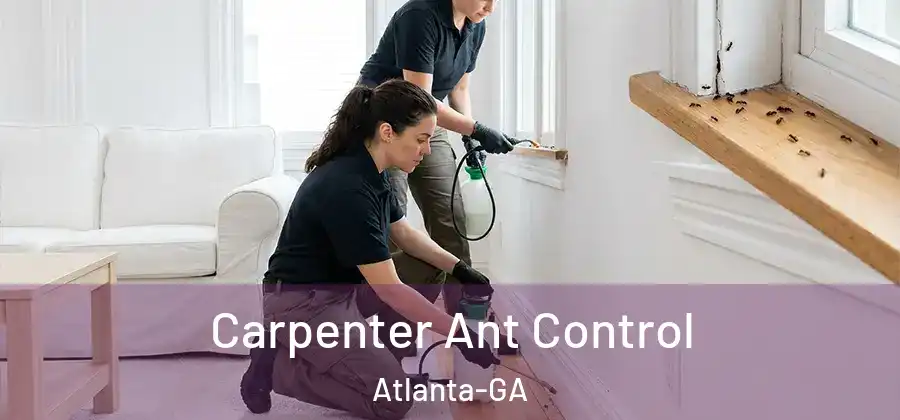 Carpenter Ant Control Atlanta-GA