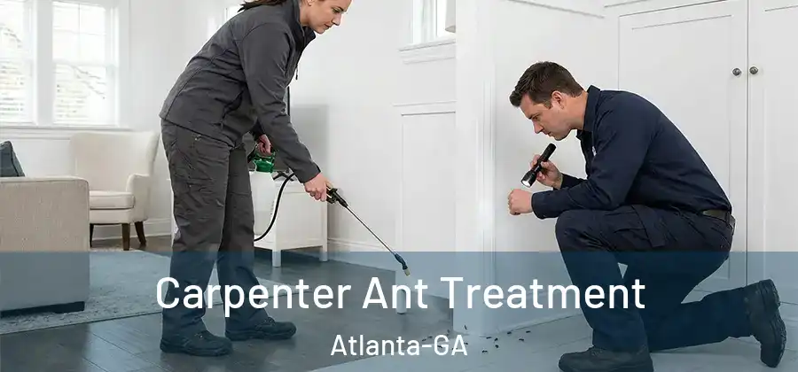  Carpenter Ant Treatment Atlanta-GA