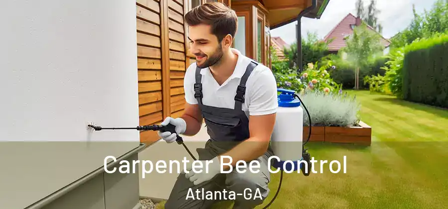 Carpenter Bee Control Atlanta-GA