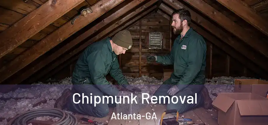  Chipmunk Removal Atlanta-GA