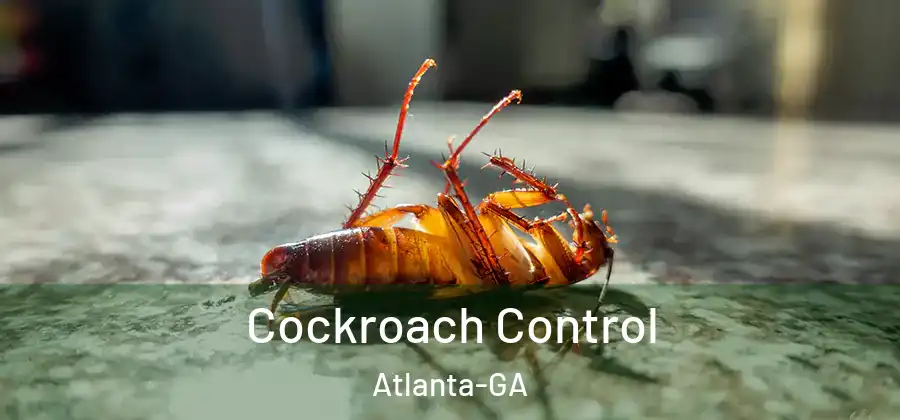  Cockroach Control Atlanta-GA