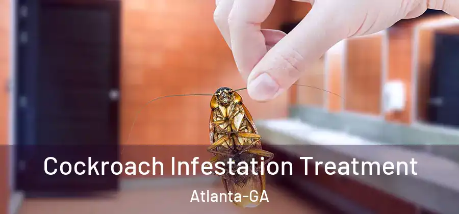  Cockroach Infestation Treatment Atlanta-GA