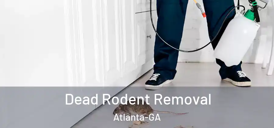  Dead Rodent Removal Atlanta-GA