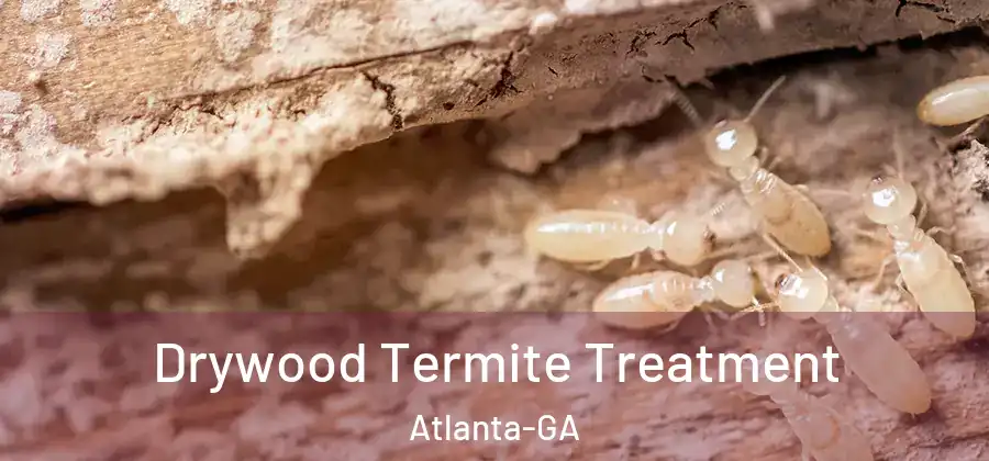  Drywood Termite Treatment Atlanta-GA