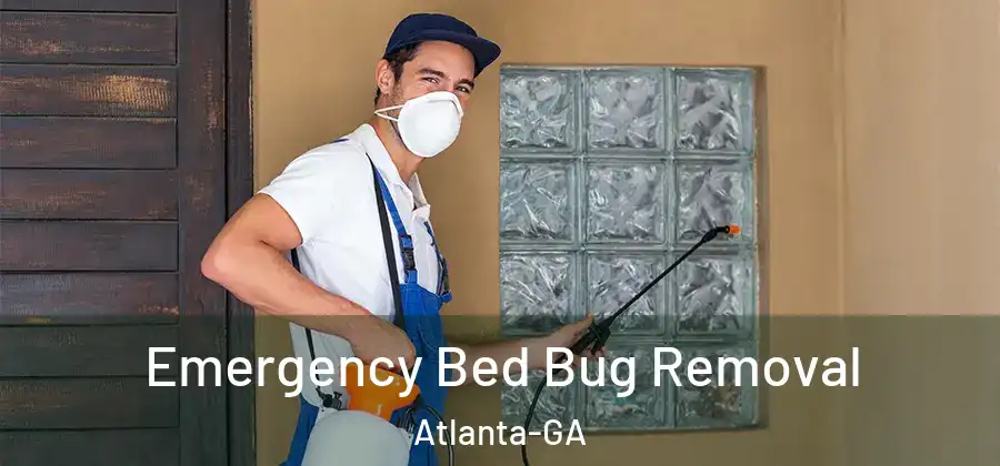  Emergency Bed Bug Removal Atlanta-GA