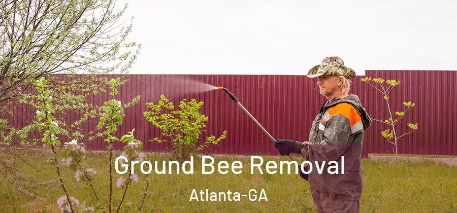 Ground Bee Removal Atlanta-GA