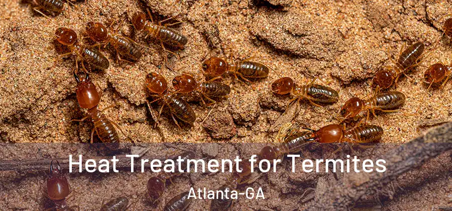  Heat Treatment for Termites Atlanta-GA