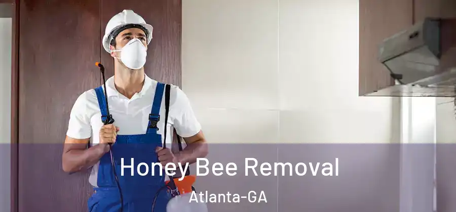 Honey Bee Removal Atlanta-GA