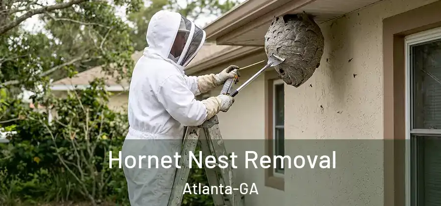  Hornet Nest Removal Atlanta-GA