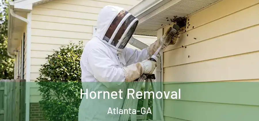  Hornet Removal Atlanta-GA