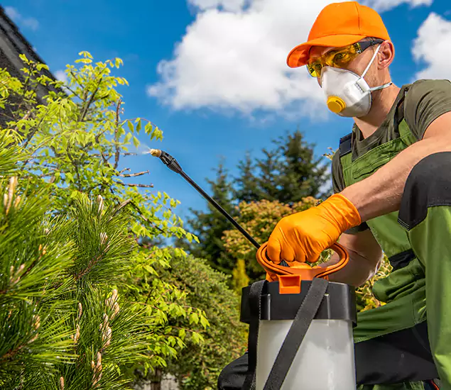 Your Best Bug Spray for Home Team in Atlanta, GA