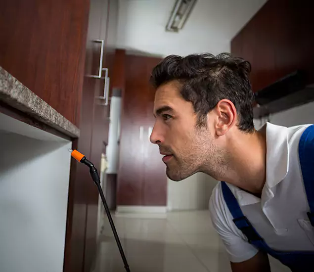 Termite Inspection Cost Experts You Can Trust in Atlanta, GA