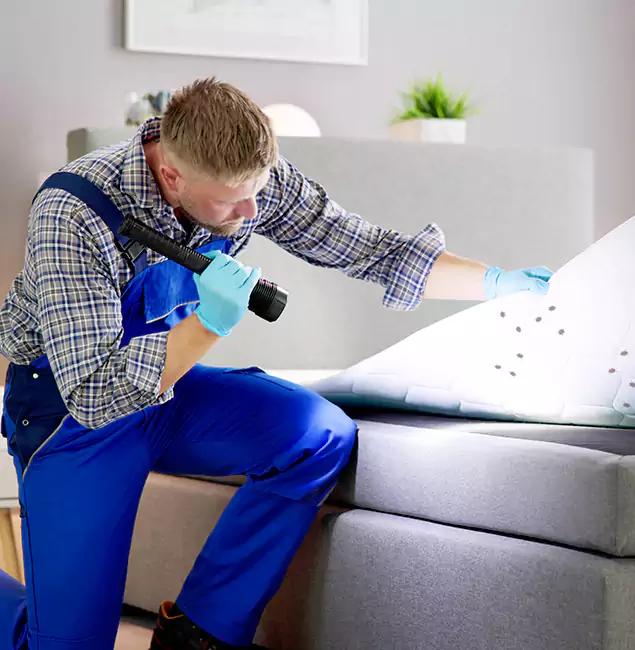 Why Choose Atlanta Pest Control Expert For Bed Bug Heat Treatment in Atlanta, GA?