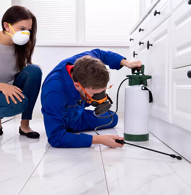 Why Atlanta, GA Homeowners Trust Atlanta Pest Control Expert for Roach Control?