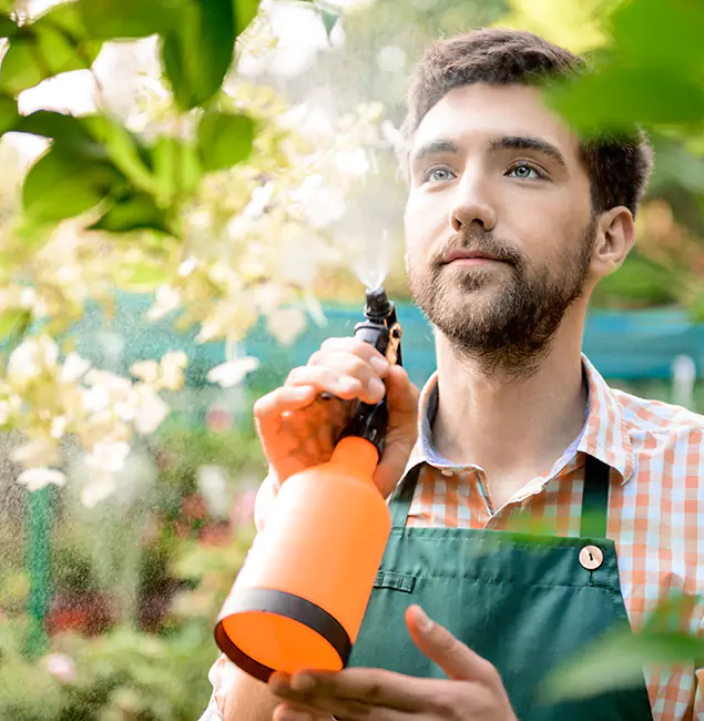 Why Atlanta Pest Control Expert Is the Best Mosquito Control Company in Atlanta, GA?