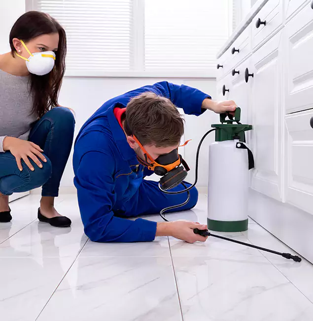 Why Choose Atlanta Pest Control Expert for Termite Inspection Cost in Atlanta, GA?