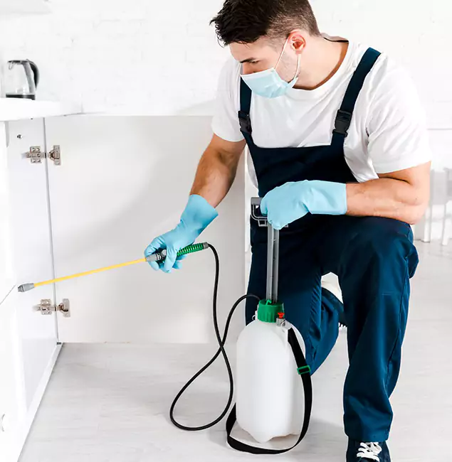 Why Choose Atlanta Pest Control Expert for Termite Spot Treatment in Atlanta, GA?