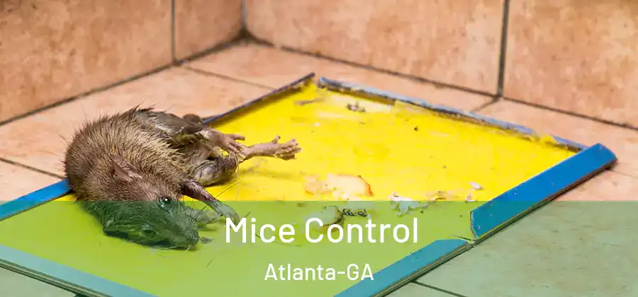 Mice Control Atlanta-GA