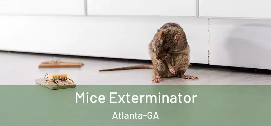  Mice Exterminator Atlanta-GA