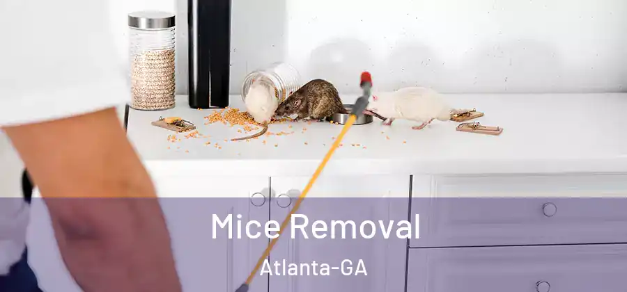 Mice Removal Atlanta-GA