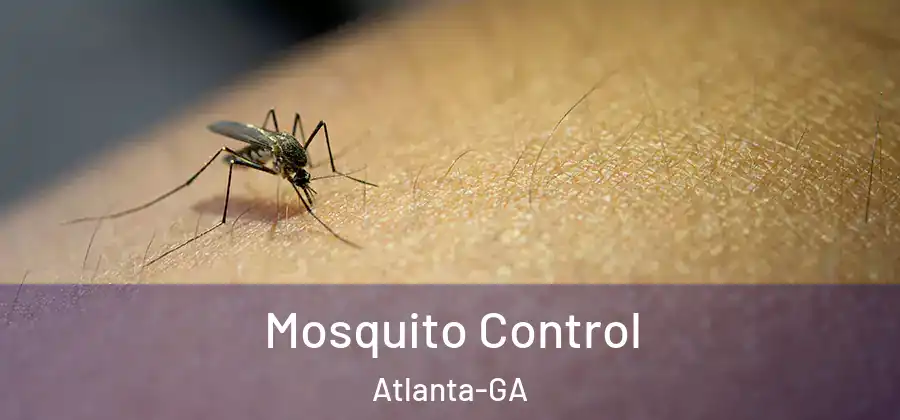  Mosquito Control Atlanta-GA