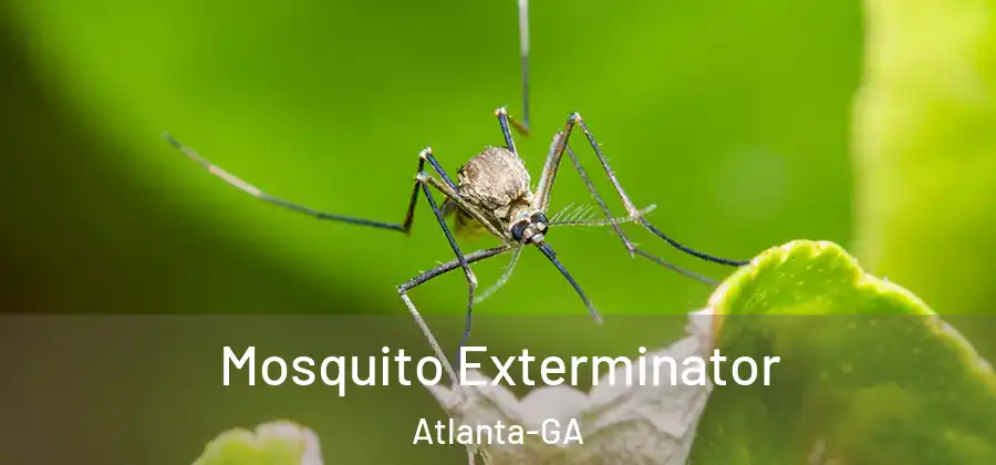  Mosquito Exterminator Atlanta-GA