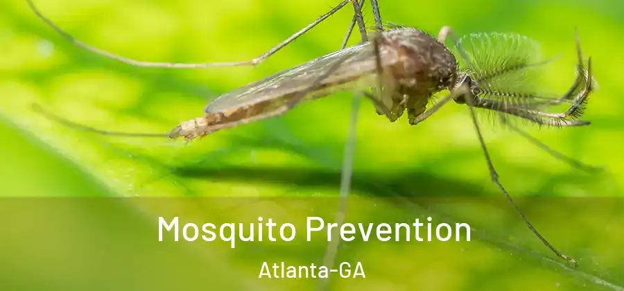  Mosquito Prevention Atlanta-GA