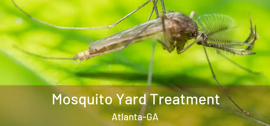  Mosquito Yard Treatment Atlanta-GA