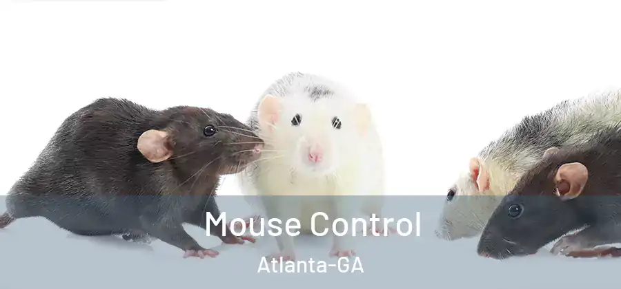  Mouse Control Atlanta-GA