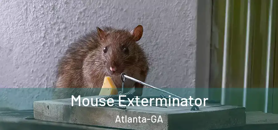 Mouse Exterminator Atlanta-GA