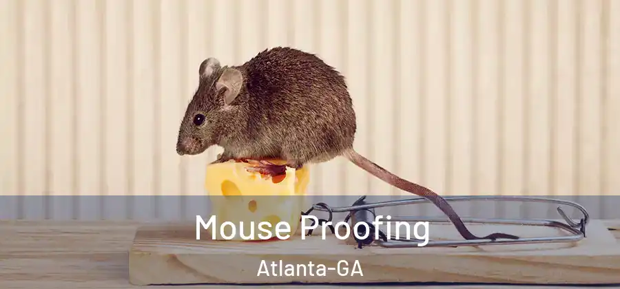  Mouse Proofing Atlanta-GA