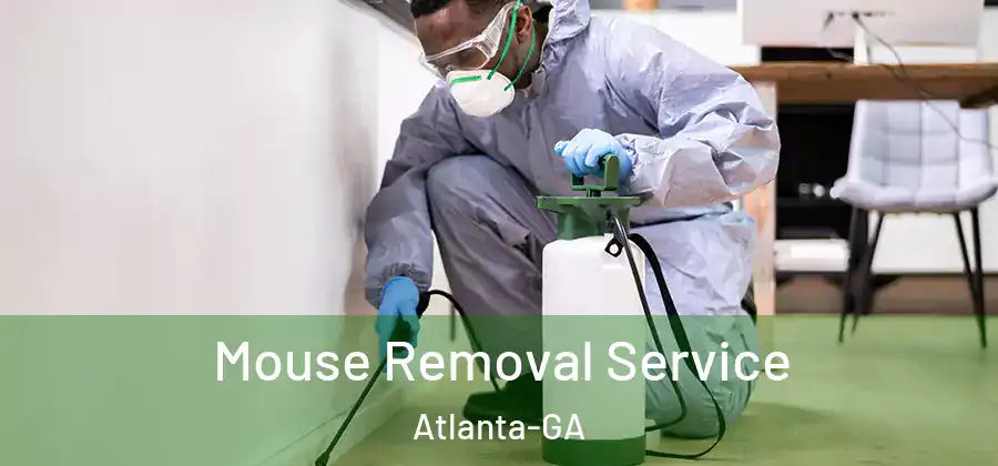 Mouse Removal Service Atlanta-GA