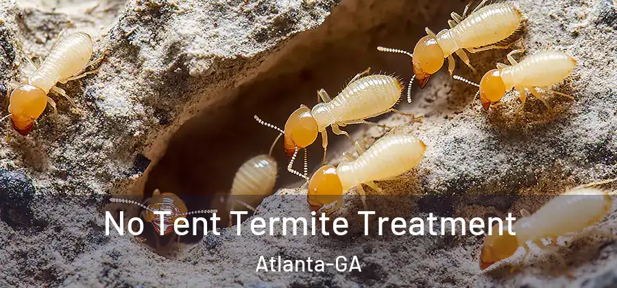  No Tent Termite Treatment Atlanta-GA