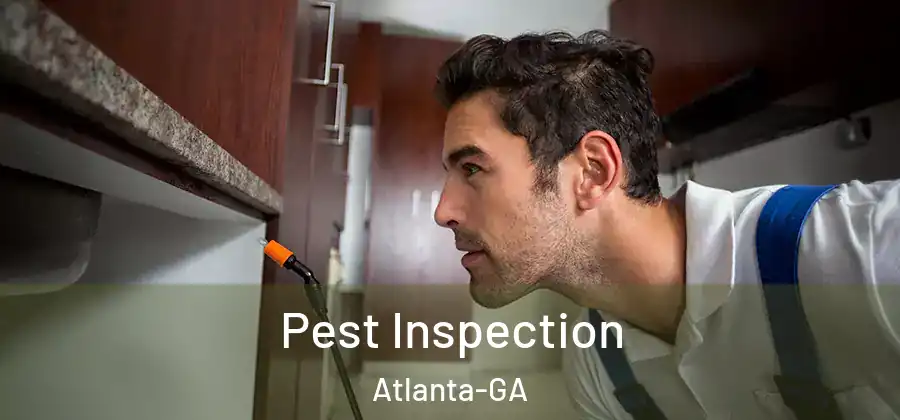  Pest Inspection Atlanta-GA