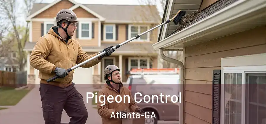  Pigeon Control Atlanta-GA