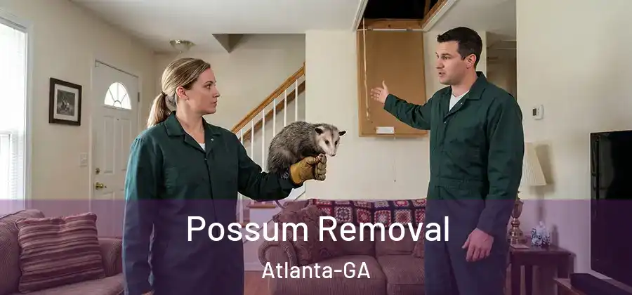  Possum Removal Atlanta-GA